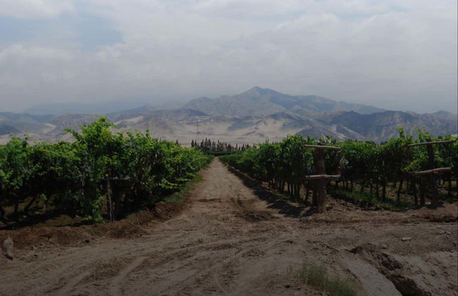Visite de la distillerie de La Caravedo - Photo 3