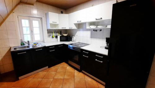 Ferienwohnungen Calwer Höfle City - für Firmen, Handwerker und Monteure - Foto 3, stove, pet friendly, minibar