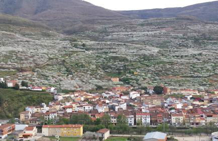 Rincón del Valle del Jerte - Foto 30