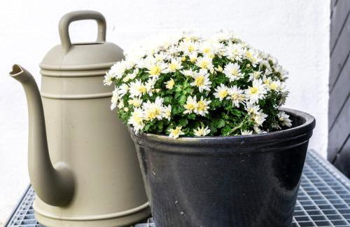 Hyggeby - Architektenhaus mit Schleiblick, Sauna, etc - Foto 32