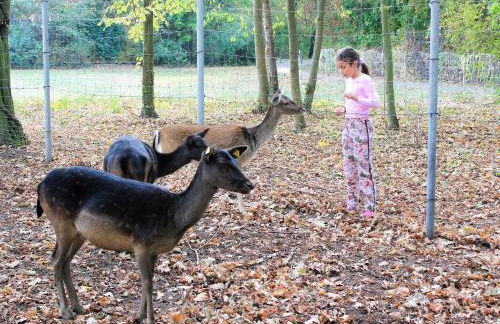 Rittergut Dornreichenbach - Foto 29