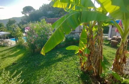 Alojamento de Crasto - Gerês - Foto 23