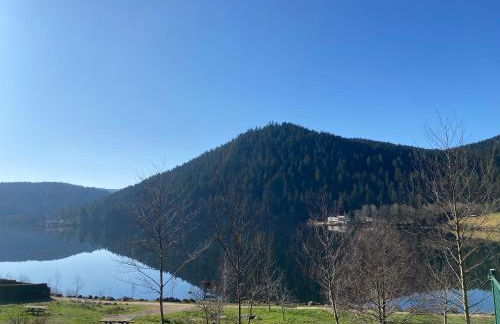 Chalet bois au calme, en lisière de forêt, balcons, sentiers balades Gérardmer & Alsace "Chalet Mon beau sapin" - Foto 39