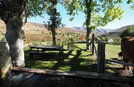 Casa Rincon Pasiego - Foto 38