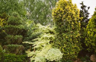 Agroturystyka u Miłosza - Foto 35