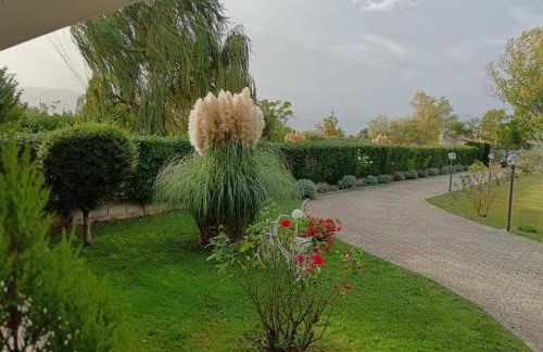 Parco delle Rose - Photo 17