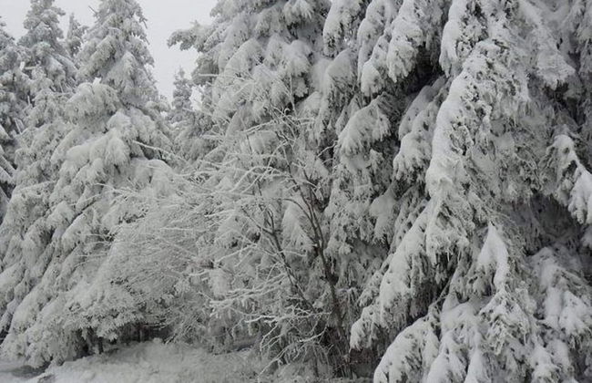 Bavaria Modern Family Stay - Photo 35