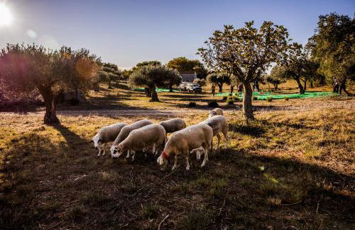 Casa de diseño con gran terraza - Foto 60