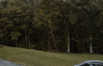 3 x bespoke built cabins with hot tubs, mid Wales - Foto 46