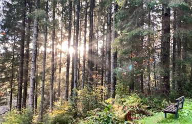 Apartment-Chalet Panorama - Foto 48