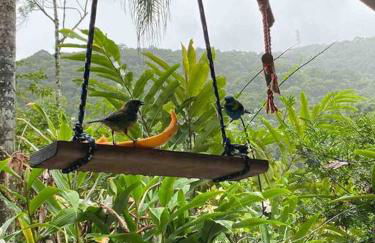 Casa charmosa em Juquehy cercada de verde, 2 quartos com churrasqueira - Foto 35