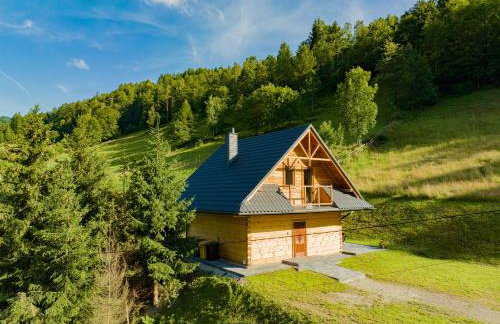 Domek w Górach - Foto 53