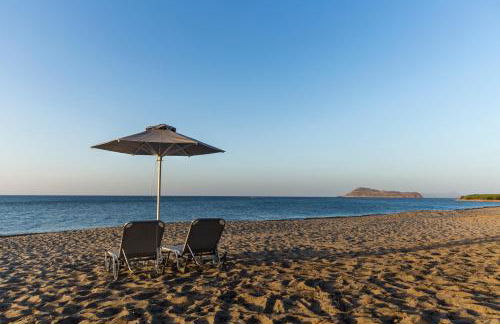 Electra Studios - Foto 75