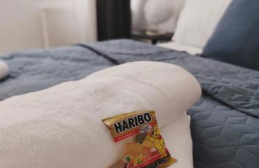 Neu! FeWo Glauchau am Schloss Wlan Netflix Disney - Foto 22