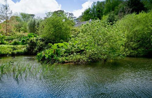 Glamping 1970 American Airstream motorhome - Foto 16