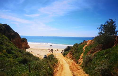 Vau Costa Apartment - Foto 42