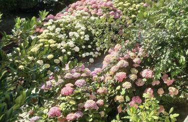 Magda Studios - Double Bed Room N3 - Foto 12