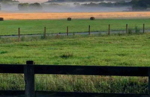 Pleasant Valley Farm Dairy Barn writer's retreat - Foto 36