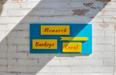 Mariposa Buckeye - Retreat for 2 - Foto 45