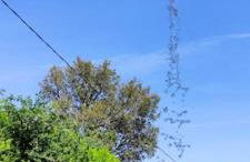 Casa nueva en Vigo Rural Mos con Jacuzzi y chimenea - Foto 30