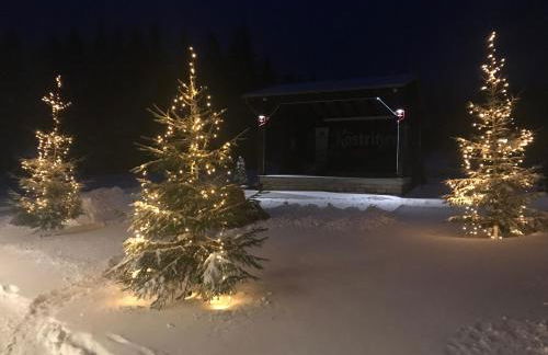 Berggasthof Heuberghaus, direkt am Rennsteig - Foto 25