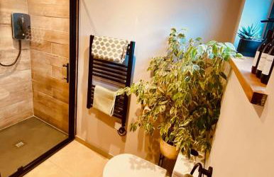 The Apple Shed - cosy cabin nestled in orchard in rural Devon - Foto 13