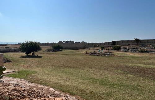 Masseria Ostuni Mare Agri Resort - Foto 62