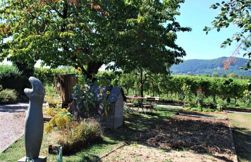 Gartenhaus am Weinberg - Foto 36