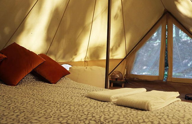 Associação Quinta das Relvas - Foto 13