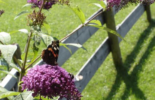 Bad Hindelang - Foto 48