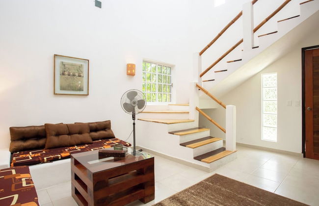 Mini Pini Birdwatching and Cenote Loft4 you Only - Foto 8