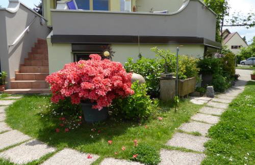 Studio Rouffach - Foto 24