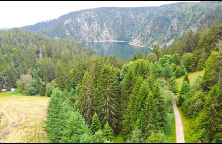 Sur la rive du Lac - Foto 15