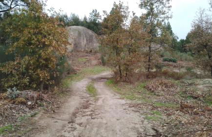 Casa rústica com terraço e jardim - Foto 46