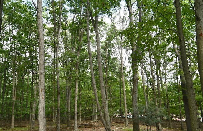 Haven Home - Foto 25