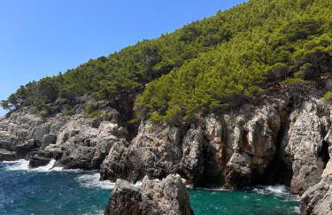 Koko's home - Photo 49