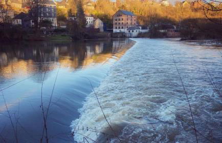 Forest View, ganzes Haus 100qm, 2 Schlafzimmer, 2 Bäder, Badewanne, Garten & Terrasse - Photo 41