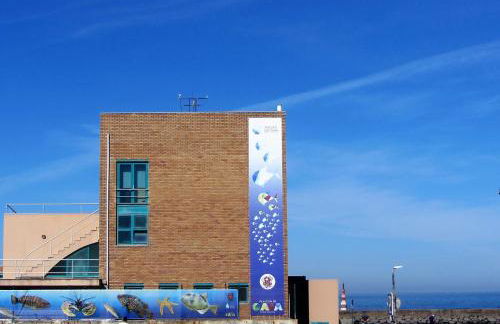 Casa do Remo Praia da Aguda - Foto 13