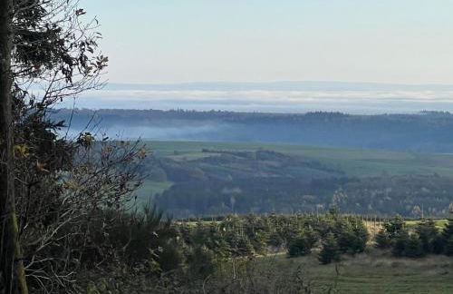 Wohlfühlnest im Ahornweg, Ferienwohnung - Foto 22