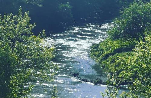 Przystan Ramotowo - Foto 8