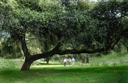 Las Navezuelas - Photo 52