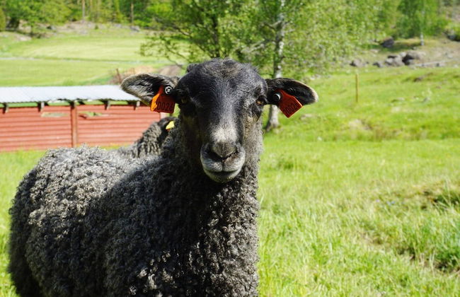 4 Star Holiday Home in Mellosa-by Traum - Foto 23