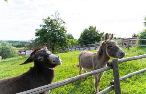 Villa con vista - piscina e barbecue privati - Foto 4