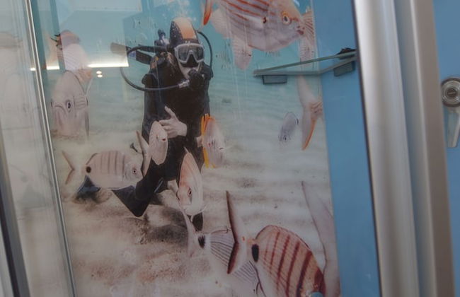 Haus Mühlentrift - Foto 54