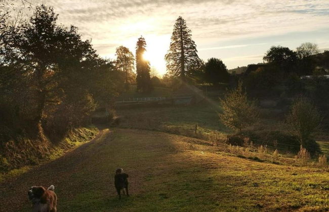 Holiday Home Near Lake and Leisure in Clos du Bannet - Photo 27