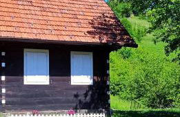 Guesthouse DARKWOOD - Foto 5