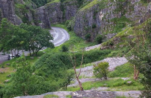 Courtyard Apartment - Photo 34