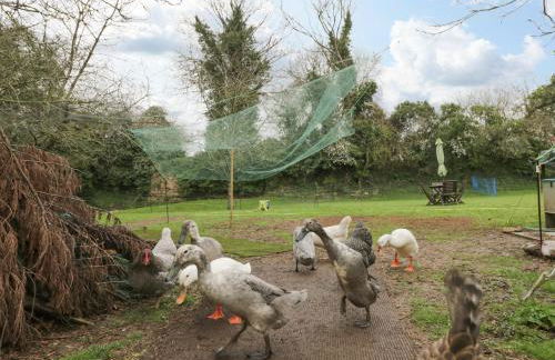 Orchard House Cottage - Foto 21