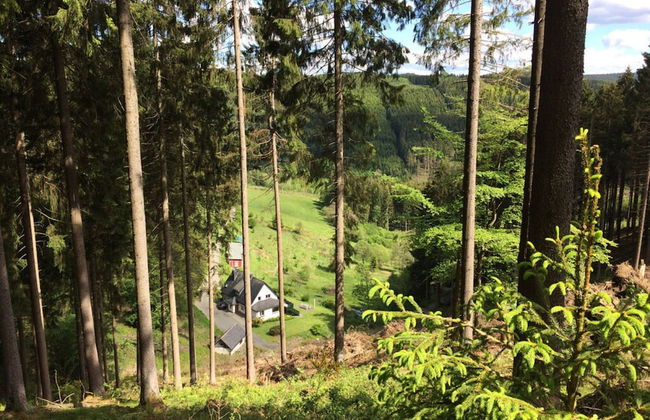 Holiday Home Waldhaus am Burbach - Photo 12