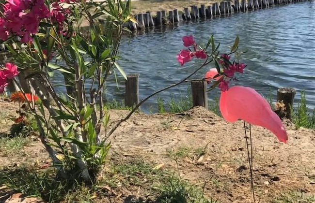 Agriturismo Quietovivere - Foto 17